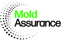 Mold Inspection