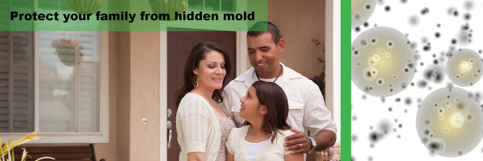 Black Mold Inspection by Mold Assurance