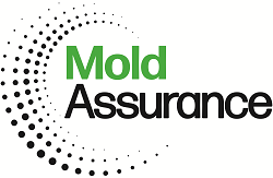 Mold-Now mold inspection logo